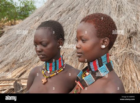 Young Hamar Women Omo River Valley Southern Ethiopia Africa Stock