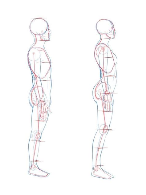 Anime Side View Body Learn how to draw amazing anime or manga bodies