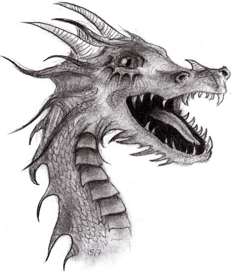 Dragon Drawing By Asyourfallingdown On Deviantart