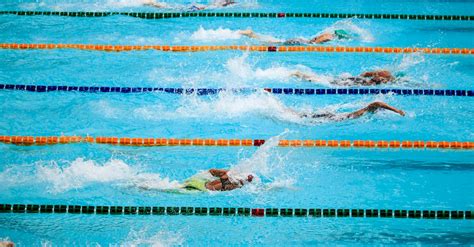 People Doing Swim Race · Free Stock Photo