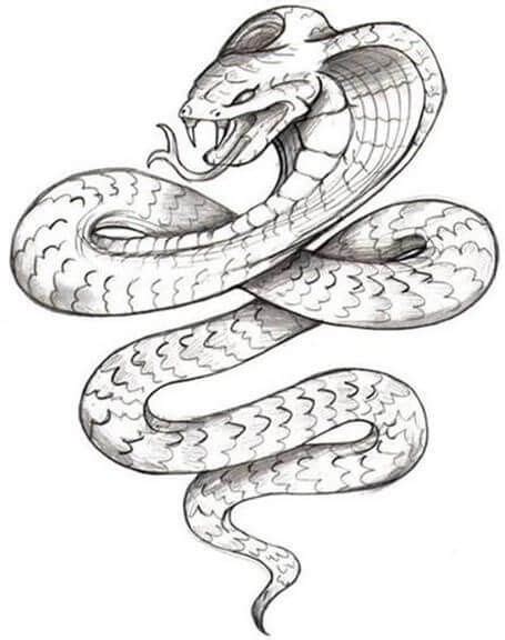 21 Realistic Snake Tattoo Drawing Ideas Petpress Snake Drawing