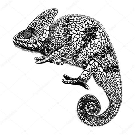 Zentangle Stylized Chameleon Hand Drawn Reptile Vector Illustra