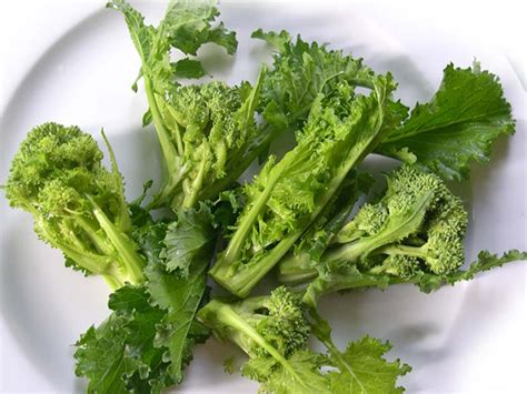 Check spelling or type a new query. Broccoletti o cime di rapa - Usi in cucina, varietà e ...