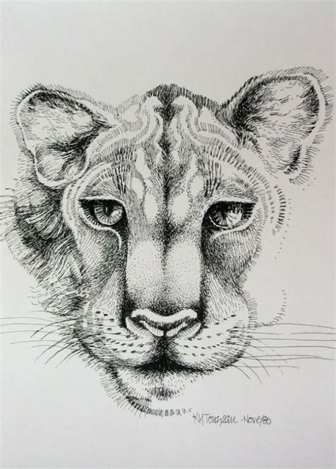 You can download, print and frame it to update your living room Pen & Ink Drawing of an African Lioness' face | aftcra