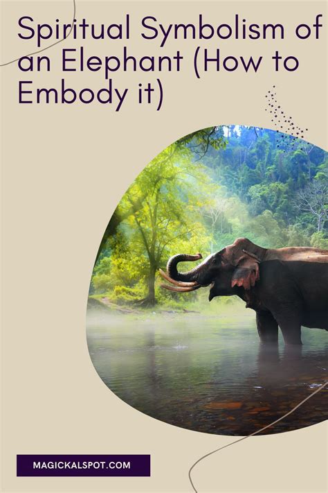 Spiritual Symbolism Of An Elephant How To Embody It