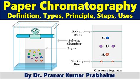 Paper Chromatography Definition Types Principle Steps Uses Youtube
