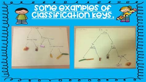 Creating Your Own Classification Key Teaching Resources