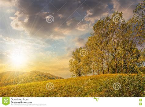 Few Trees On Hillside Meadow At Sunset Stock Photo Image Of Hill