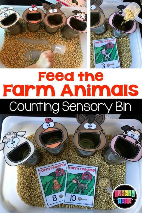Farm Feeding Counting To 20 Farm Math Game For A Farm Animals Sensory