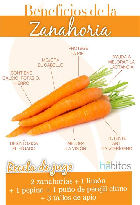 Beneficios De La Zanahoria H Bitos Health Coaching