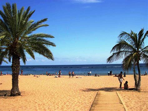Things To Do In Tenerife Canary Islands A Travel Guide
