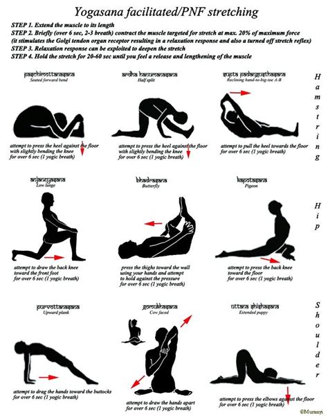 Yoga poses facilitated/PNF stretching | Pnf stretching ...