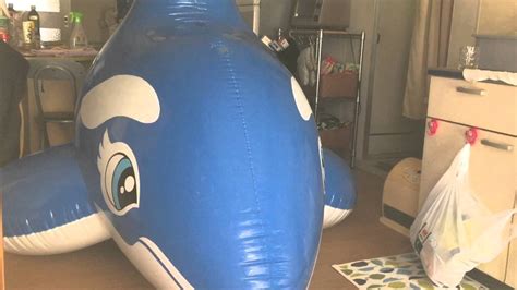 Inflatable Whale Blow Up Pop Youtube