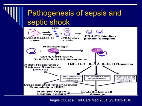 What does septic shock mean? Sepsis to Septic Shock