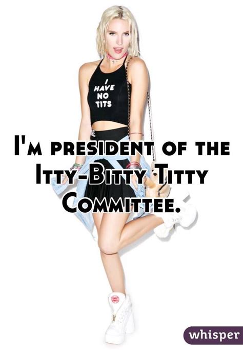 Im President Of The Itty Bitty Titty Committee