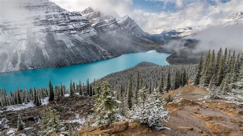 Peyto Lake 4k Ultra Hd Wallpaper Background Image