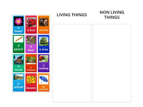 living non living things categorize