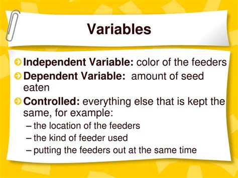 Independent Variable Examples Science