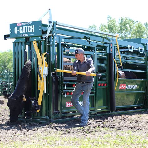 Q Catch 87 Series Portable Cattle Chute And Alley Arrowquip