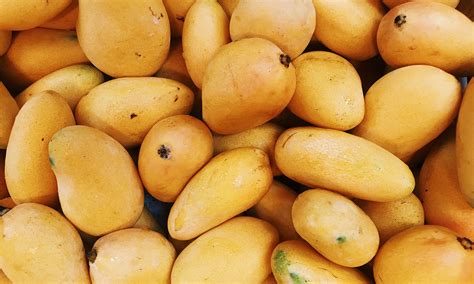 7 Surprising Benefits Of Mango Gigi