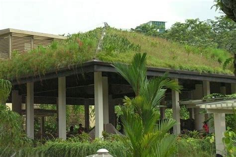 Beautiful Roof Garden Sanctuaries Around The World Singapore Botanic