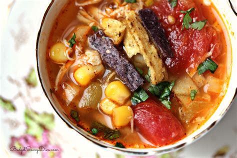 Maybe you would like to learn more about one of these? Slow-Cooker Chicken Tortilla Soup Recipe | Budget Savvy Diva
