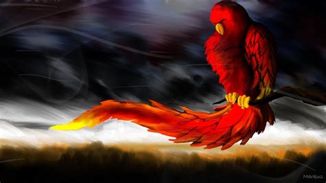 Red Parrot Hull Mass Computer Wallpaper Hd Cool Backgrounds Phoenix