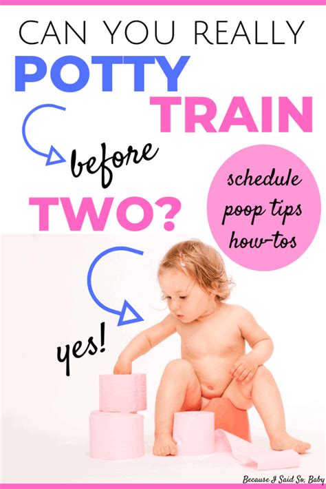 Potty Training Under 2 Everything You Need To Know Potty Training