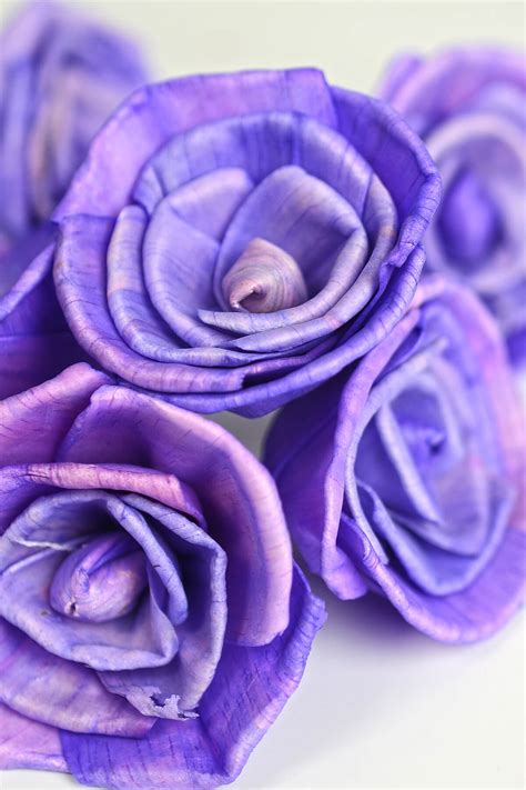 15 Sola Flowers Purple Roses