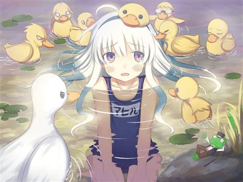 Anime Duck Wallpapers Top Free Anime Duck Backgrounds Wallpaperaccess