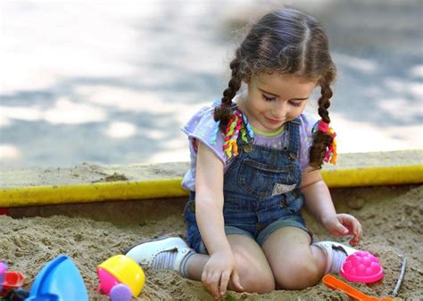 Sandboxes Are Full Of Germs Can Cause Parasitic Worms