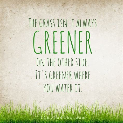 The Grass Is Greener Where You Water It Quote 3 What You Water Will