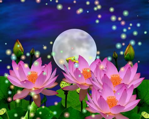Beautiful 3d Flower Wallpapers Moon And Lotus Flower 1280x1024