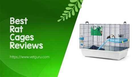 The 8 Best Rat Cages 2021 Updated