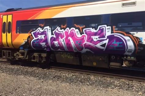 Graffiti Artists Are Risking Their Lives To Paint Trains Plymouth Live