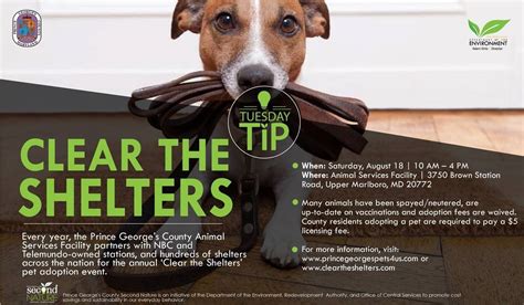 Clear The Shelter This Saturday