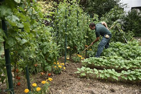 Jardin Comment Cultiver Un Potager Bio