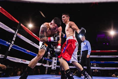 Low Angle Photo Of Two Men Fighting In Boxing Ring · Free Stock Photo