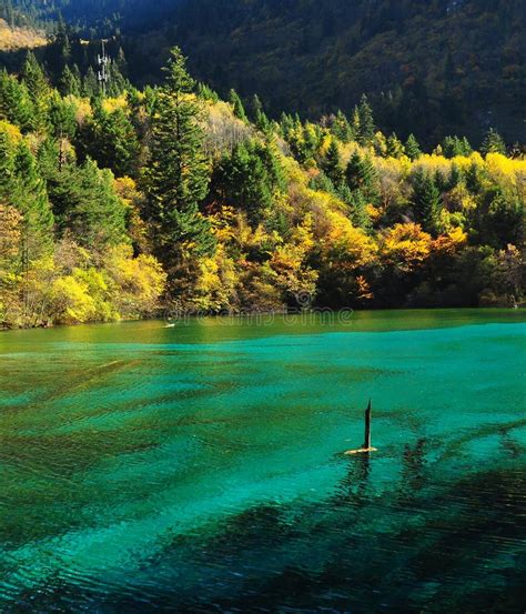 Colorful Lakes In Jiuzhaigou Valley Stock Image Image Of Jiuzhaigou