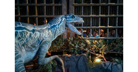 Jurassic World The Exhibition Roars Into Toronto On April 14 2023 For A Limited Engagement