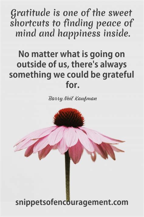 25 Inspirational Gratitude Quotes Snippets Of Encouragement