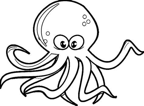 Black And White Octopus Free Download On Clipartmag