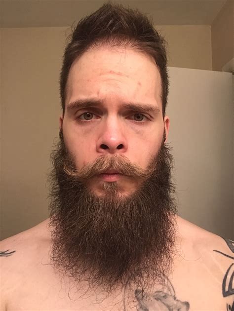 30yrs old second time growing a beard week 52 going for a yeard page 15 beard board