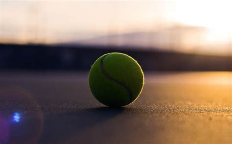 Tennis Ball Wallpapers Top Free Tennis Ball Backgrounds Wallpaperaccess