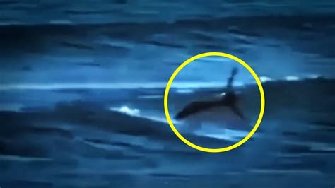 5 Mermaids Caught On Camera & Spotted In Real Life! #2 - YouTube