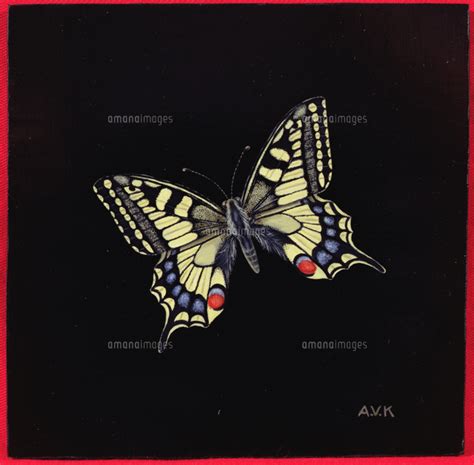 Swallowtail Butterfly 1999 22040209035 の写真素材・イラスト素材｜アマナイメージズ