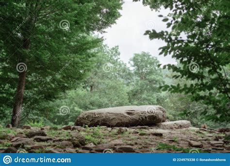 Big Rock For Meditation In A Green Forest Stock Photo Image Of Forest