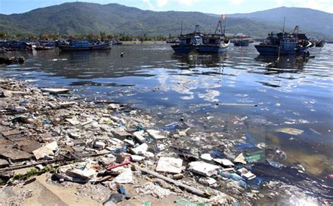 Coastal Da Nang Faces Severe Pollution Problems News