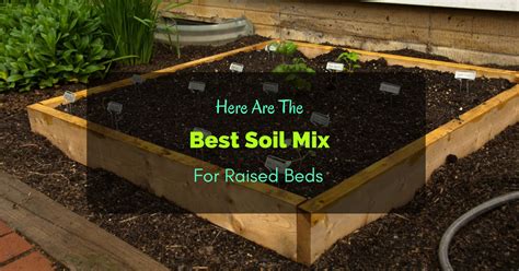 Screen your topsoil (or buy a truckload of screened topsoil) and mix it thoroughly with equal parts screened compost (kitchen, mushroom, manure, and/or fish). Here Are The Best Soil Mix For Raised Beds