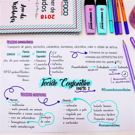 Mapa Conceptual Creativo Gu A Paso A Paso